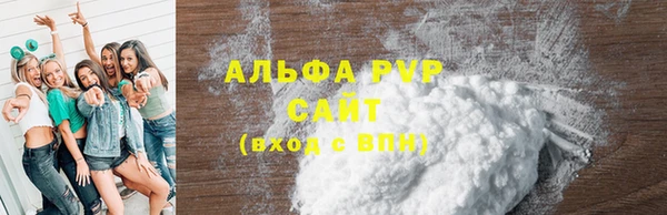 сатива Ростов