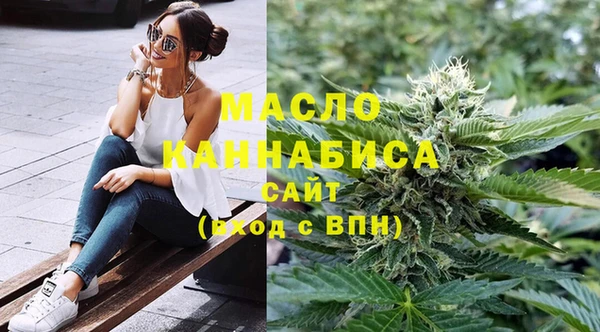 сатива Ростов