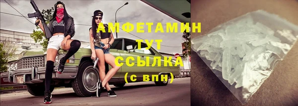 сатива Ростов
