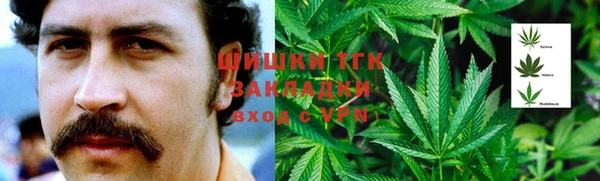сатива Ростов