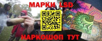 стаф Кинель
