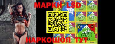 стаф Кинель