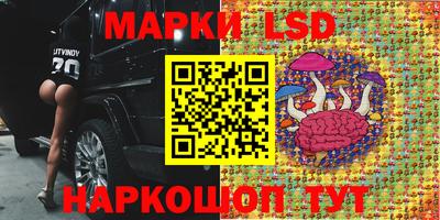 стаф Кинель