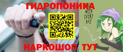 стаф Кинель