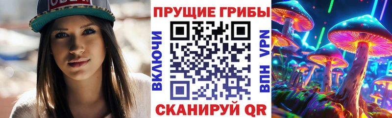 Псилоцибиновые грибы Psilocybe  хочу наркоту  Ртищево 